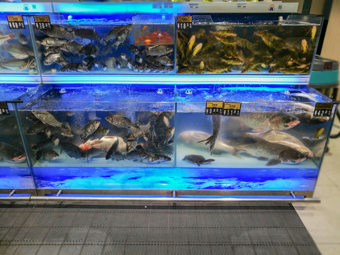超市水產區