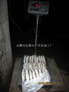 巴浪魚 福建帶魚 福建魷魚 福建冷凍蝦 福建竹莢魚 福建沙丁魚 福建鮐魚 印尼釣帶 印尼魷魚 福建巴浪魚 宏源水產冷凍加工廠 福建帶魚,福建鮐魚,福建魷魚