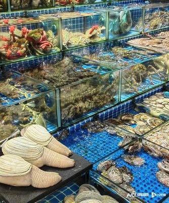 老廣年貨圖鑒 堅果、禽類、海鮮與年宵花的購銷熱潮
