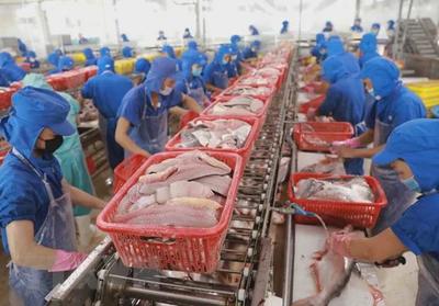 單價已漲50%，9000萬滯箱費背后 水產物流困局與巴沙魚的“躺平”誘惑
